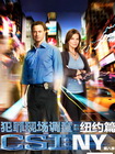 CSI：纽约篇[第八季]